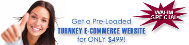 Turnkey e-Commerce Website for Work at Home Moms